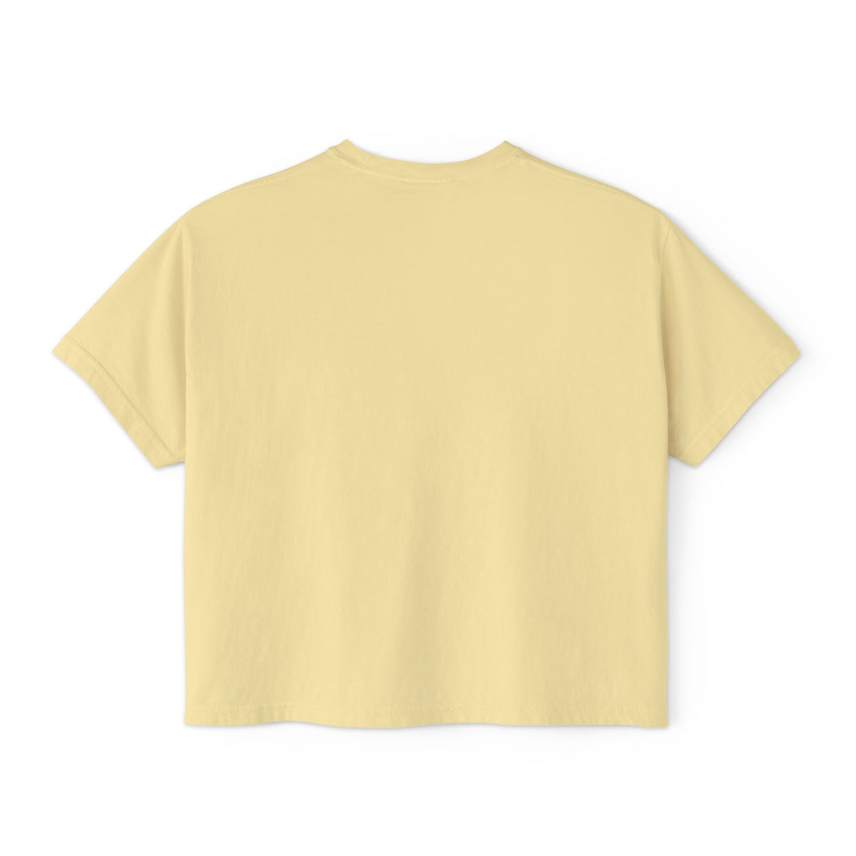Fall Goose Boxy Tee — Cute Pumpkin Latte Graphic Women's Shirt