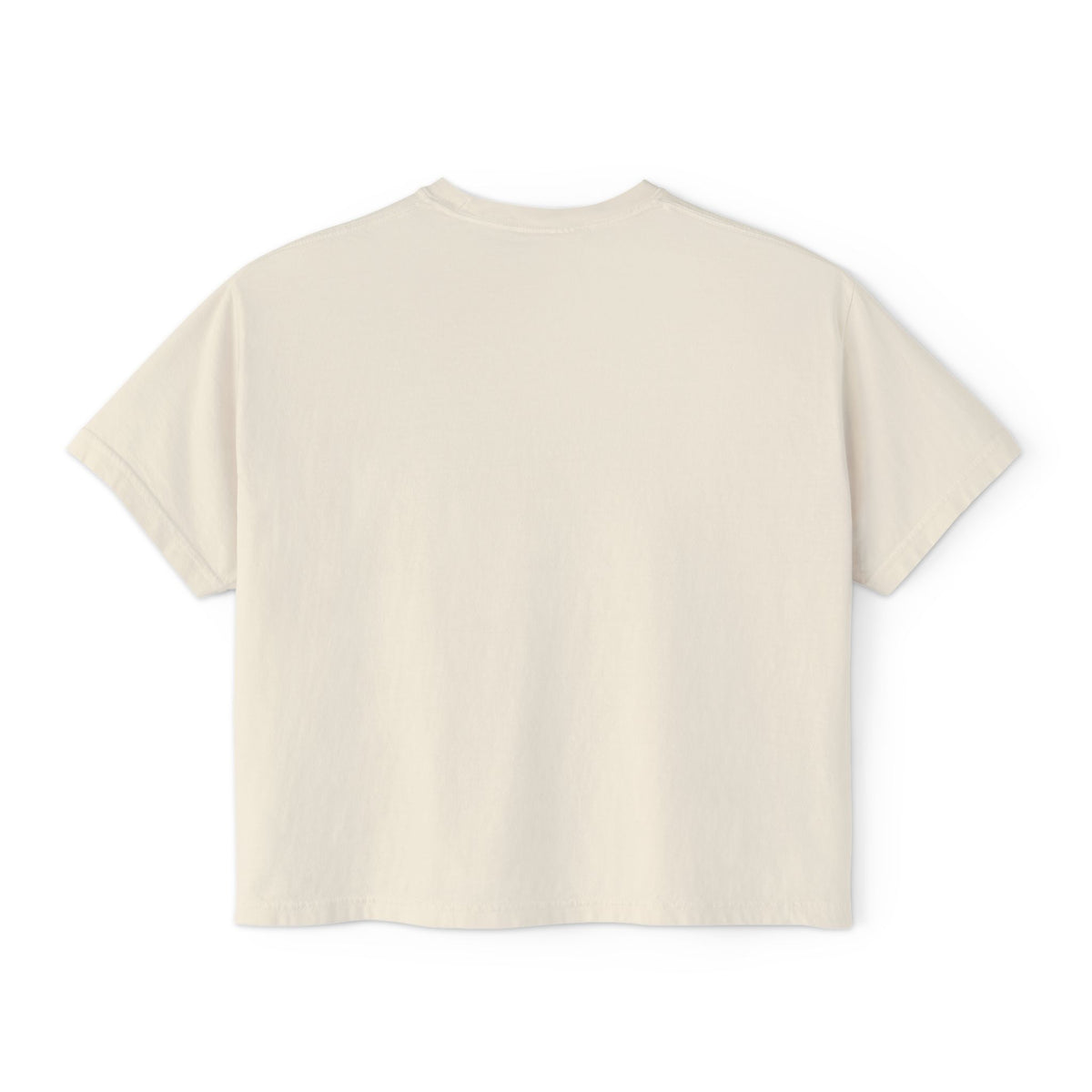 Fall Goose Boxy Tee — Cute Pumpkin Latte Graphic Women's Shirt